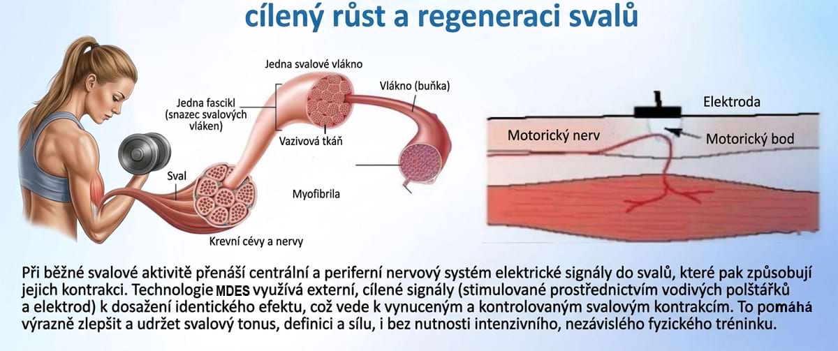 Masážny prístroj na formovanie postavy BeautyRelax Magnetic Pulsemax Studio Performance – Obrázok 15