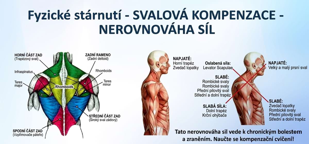 Masážny prístroj na formovanie postavy BeautyRelax Magnetic Pulsemax Studio Performance – Obrázok 14